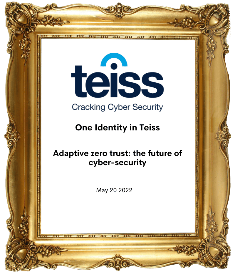 One-Identity-Teiss