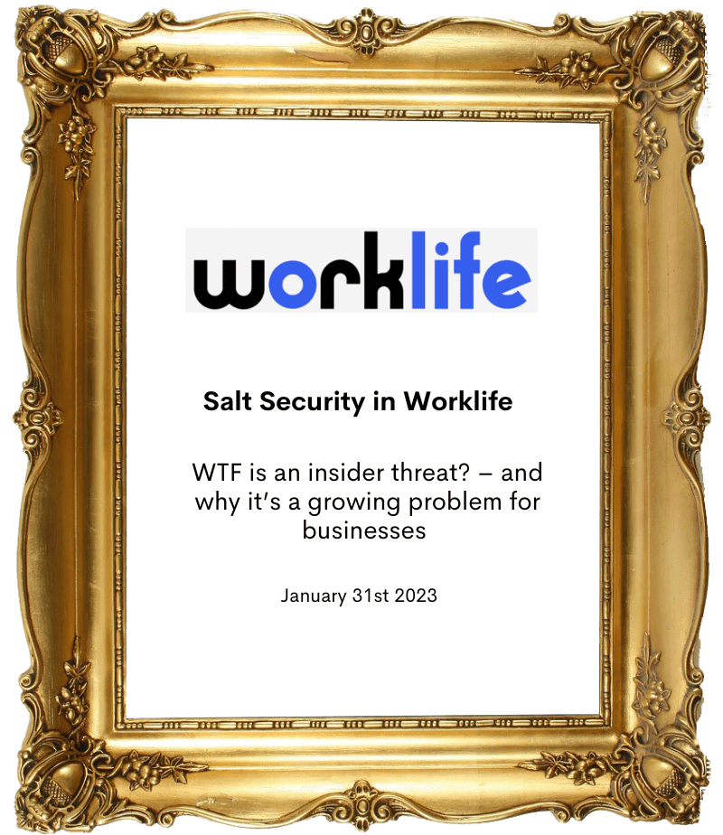Salt-Security-in-Worklife