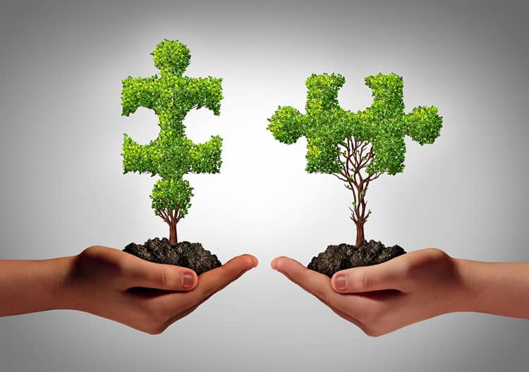 cultivation-buidling-relationships-with-donors