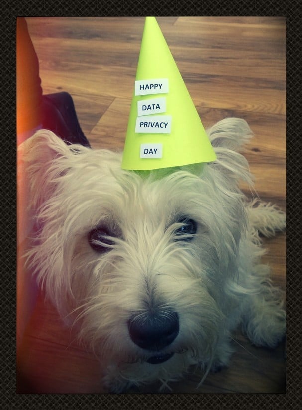 happydataprivacyday